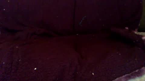 Snapshot of fitchatandfun chatting on April 2026 11:56:01 AM fitchatandfun online show from April 2026 11:56:01 AM