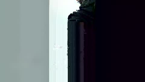 Snapshot of flack77 chatting on March 2026 03:06:01 PM FlKO online show from March 2026 03:06:01 PM