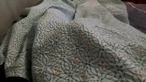 Jat online show from December 2024 04:19:02 PM