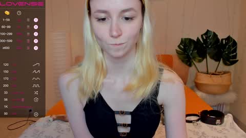 Snapshot of fleximona chatting on December 2024 12:52:01 PM FlexiMona online show from December 2024 12:52:01 PM