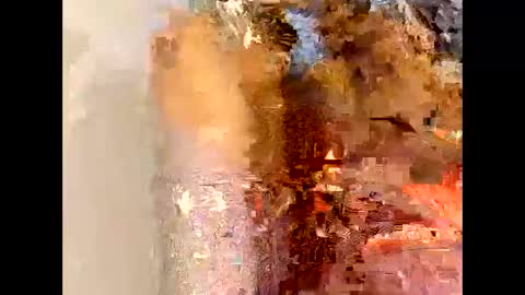 flexngudlit online show from March 2026 04:07:02 AM