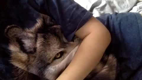 Snapshot of floraexploration chatting on December 2024 11:22:02 AM floraexploration online show from December 2024 11:22:02 AM