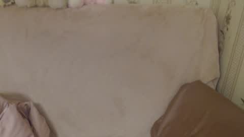 Snapshot of flowercandydoll chatting on May 2026 03:29:01 PM say meow and send tip online show from May 2026 03:29:01 PM