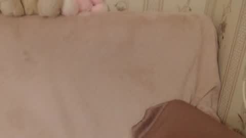 say meow and send tip  online show from June 2026 05:39:01 PM