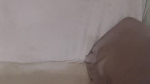 say meow and send tip  online show from July 2026 12:18:02 PM