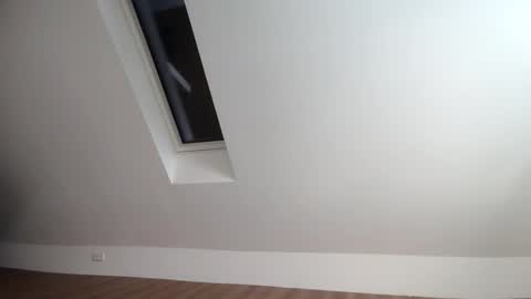 flowster221 online show from December 2025 01:18:02 PM