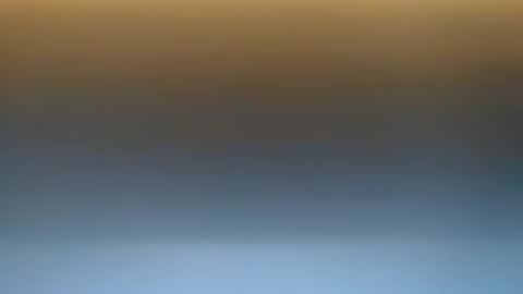 Snapshot of flowster221 chatting on February 2026 12:23:01 AM flowster221 online show from February 2026 12:23:01 AM
