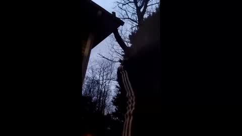 Snapshot of flyyguy69 chatting on December 2025 12:11:02 PM flyyguy69 online show from December 2025 12:11:02 PM