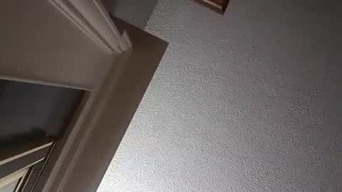 Snapshot of followthewhiterabbittail chatting on October 2025 02:29:01 AM Have fun remembering u online show from October 2025 02:29:01 AM