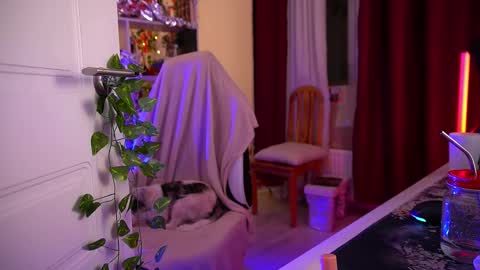 Senya  subscribe to telegram channel  online show from December 2025 04:51:01 AM