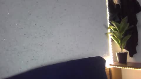 Snapshot of fox_red_lady7 chatting on February 2025 08:42:01 AM fox_red_lady7 online show from February 2025 08:42:01 AM