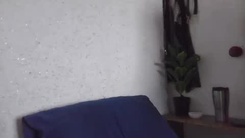 Snapshot of fox_red_lady7 chatting on March 2025 12:56:02 PM fox_red_lady7 online show from March 2025 12:56:02 PM