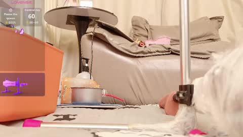 yiyi online show from April 2026 07:58:02 AM