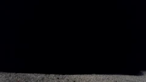 Snapshot of francescafey chatting on March 2026 06:50:02 AM francescafey online show from March 2026 06:50:02 AM