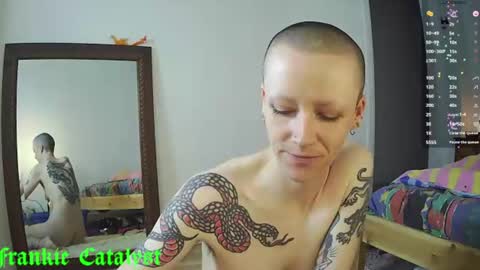 Frankie Catalyst online show from July 2026 11:46:02 AM