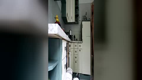 frankpotsdam online show from June 2026 08:17:02 AM