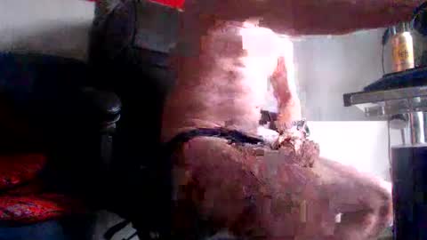 yo online show from February 2026 08:15:02 AM