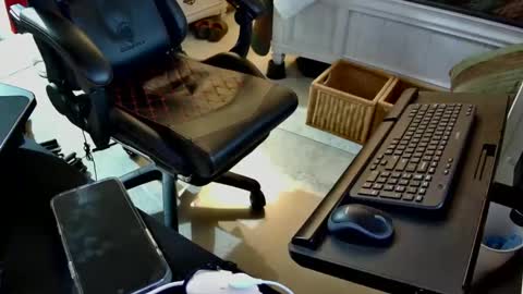 freespirt2 online show from November 2025 03:08:02 AM