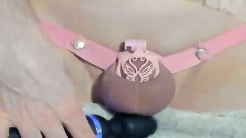 Meadow online show from December 2024 02:11:02 AM