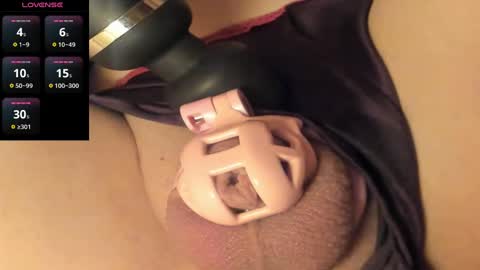 Meadow online show from January 2025 12:29:01 PM