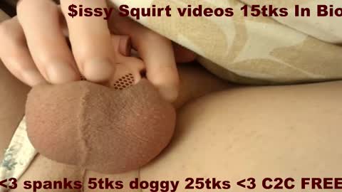 Meadow online show from December 2025 07:53:02 PM