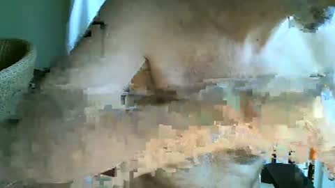 Snapshot of frisco69 chatting on April 2026 11:04:01 AM frisco69 online show from April 2026 11:04:01 AM