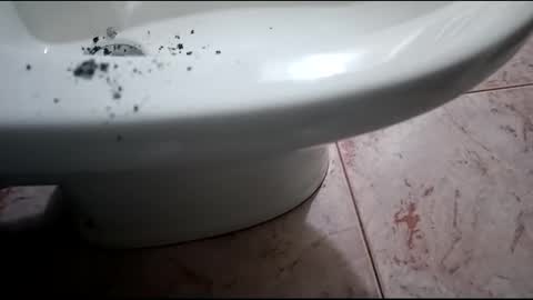 Hornycouple1386 online show from January 2025 08:54:01 PM