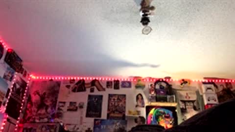 Fabian online show from April 2026 03:37:02 AM