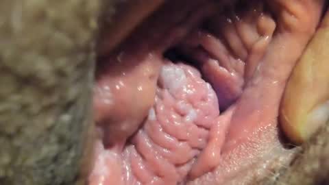 FrumCake online show from January 2025 01:10:01 AM