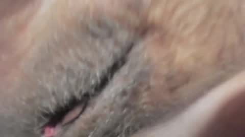 FrumCake online show from January 2025 12:27:02 AM