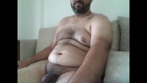 fruti loops  Bull online show from January 2025 05:53:01 AM