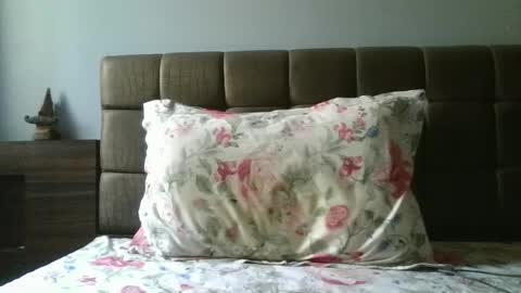 fruti loops  Bull online show from February 2025 10:33:02 AM