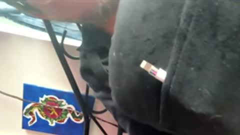 ftm_0 online show from December 2025 06:25:02 PM