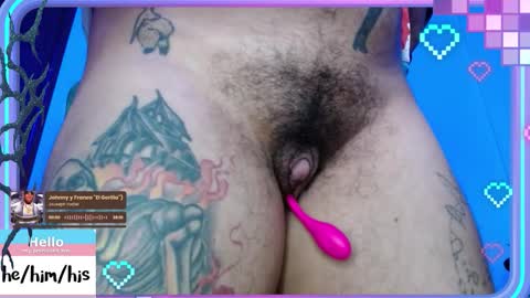 Kevin online show from November 2025 02:56:02 AM