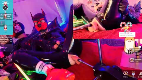 Snapshot of fuc71 chatting on December 2024 11:49:02 PM fuc71 online show from December 2024 11:49:02 PM