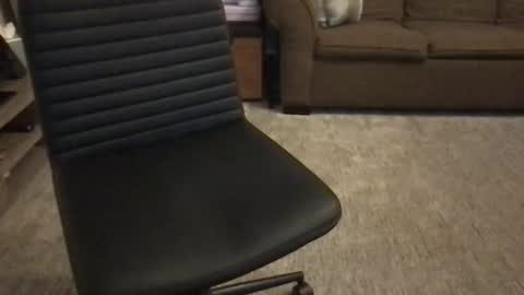 Snapshot of fuck_me_in_gr chatting on November 2025 03:00:01 PM Fuck Me in GR online show from November 2025 03:00:01 PM