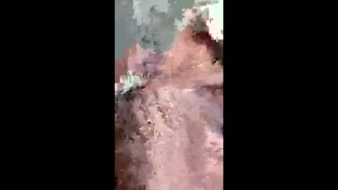 Snapshot of fukitol73 chatting on April 2026 09:28:01 PM fukitol73 online show from April 2026 09:28:01 PM