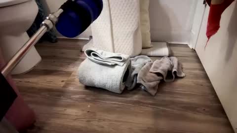 fukmyass247 online show from September 2025 12:38:02 PM