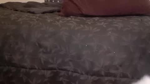 Snapshot of full4cefull chatting on January 2025 07:06:02 AM Pizzaz online show from January 2025 07:06:02 AM