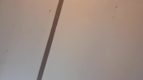 Snapshot of fulluforever chatting on April 2026 02:09:01 AM Astrid online show from April 2026 02:09:01 AM