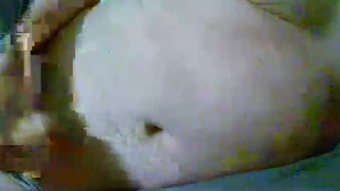 Snapshot of fultonstreet196860 chatting on April 2026 12:38:02 AM fultonstreet196860 online show from April 2026 12:38:02 AM