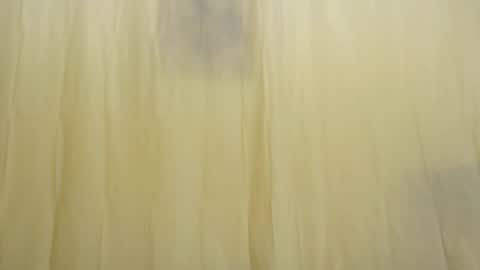 Snapshot of fun4tips chatting on February 2025 03:28:02 PM Fun4Tips online show from February 2025 03:28:02 PM