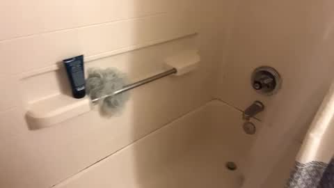 Curious guy showing off online show from November 2025 01:08:01 AM