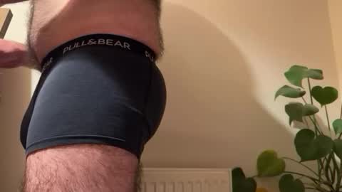 fungiphil online show from February 2026 06:23:01 PM