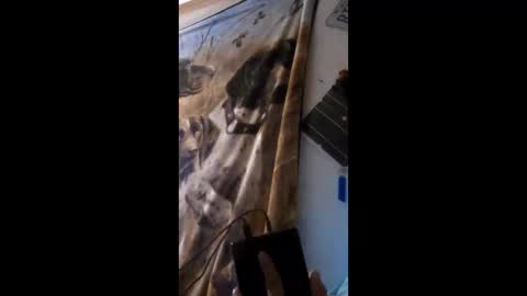 Snapshot of funinbed607918 chatting on April 2026 02:36:01 AM funinbed607918 online show from April 2026 02:36:01 AM