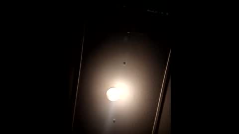 funncountry online show from January 2025 06:44:02 AM