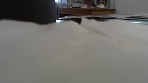 funone8848 online show from January 2025 08:04:01 PM