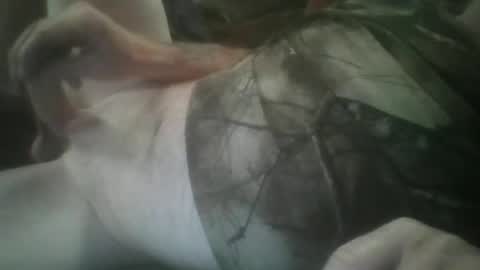 funthum19 online show from November 2025 07:25:02 PM