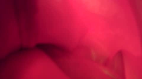 funtimes01234 online show from November 2025 07:24:01 PM