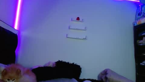 Victoria online show from March 2025 12:00:02 AM